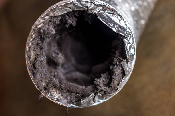 Best HVAC Air Duct Cleaning  in Lewisburg, TN